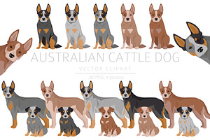 Australian Cattle Dog Clipart