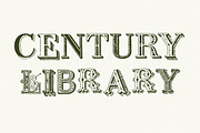 Decorative Vintage Drop Cap Font, a Serif Font by Century Library (Thumbnail 5 of 5)