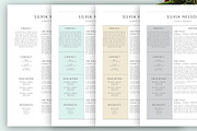Resume Templates | 7 Styles, a Resume Template by Blossom (Thumbnail 3 of 7)