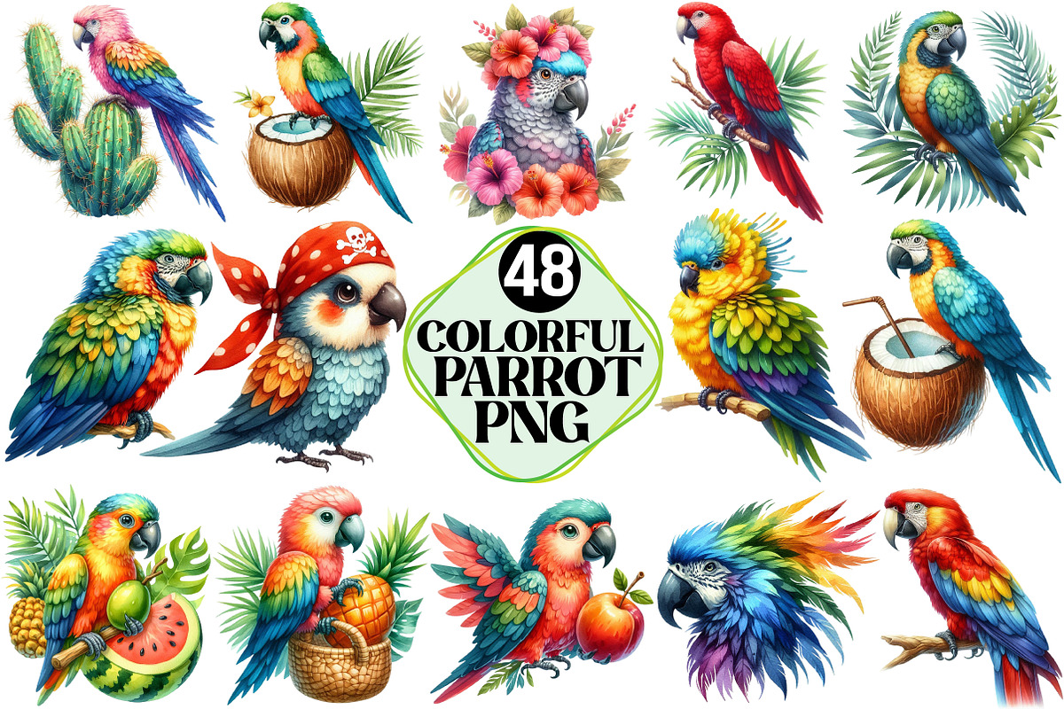 Colorful Parrot Clipart, an Illustration by Pixels.Craft (Photo 1 of 7)