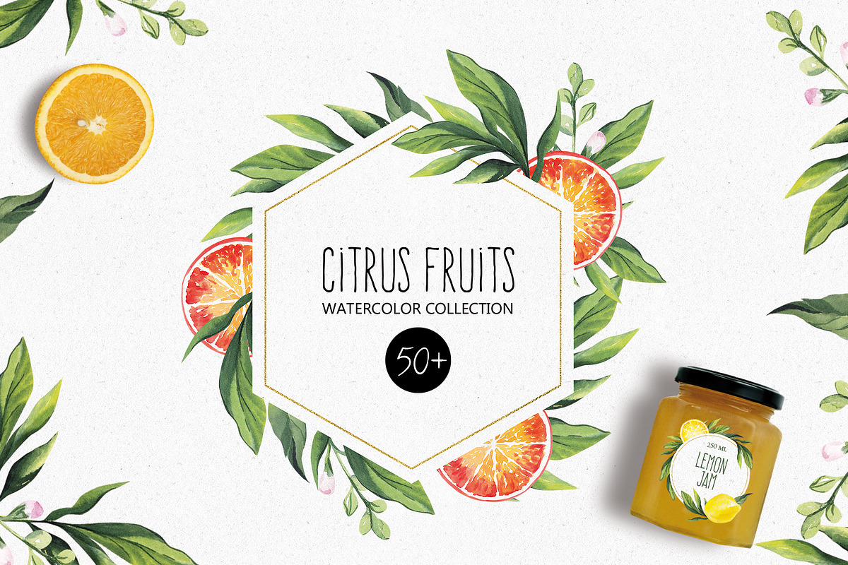 CITRUS FRUITS, an Illustration by Elena_Sedova (Photo 1 of 8)