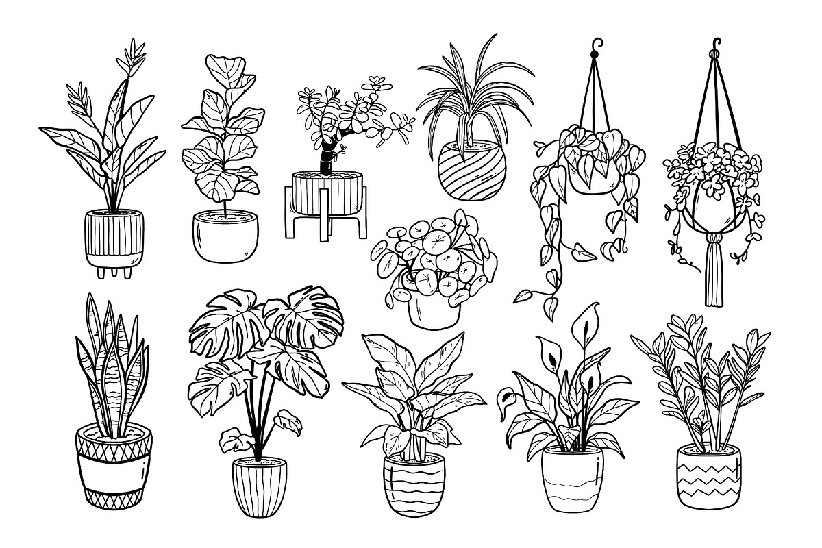 House Potted Plants Line Art, an Object Graphic by ArtGiftsStudio (Photo 3 of 5)