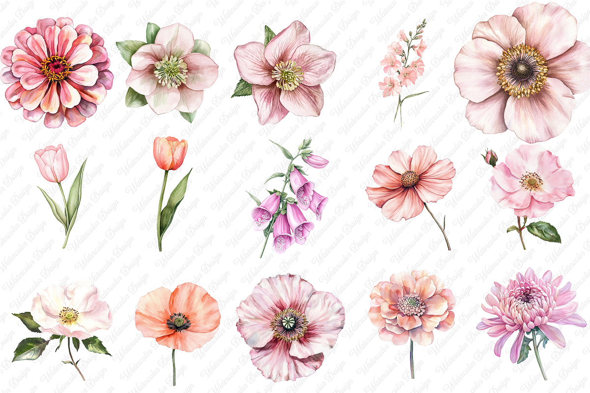 Watercolor Blush Wild Flowers, an Illustration by Watercolor design (Photo 2 of 12)