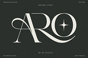 Aroney Family | 5 Style Fonts, a Serif Font by IM Studio (Thumbnail 2 of 12)