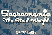 Sacramento Pro Stout, a Script Font by Stiggy & Sands (Thumbnail 1 of 5)