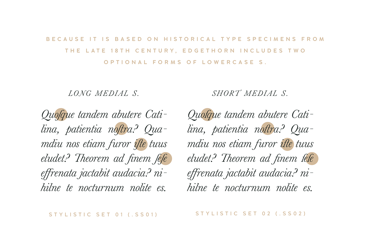 Edgethorn Italic Serif Font, a Serif Font by Up Up Creative (Photo 7 of 17)