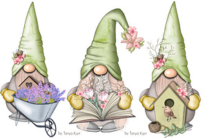 SALE Spring Green Gnomes Icons