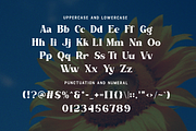 Daylight - Bold Modern Vintage Font, a Serif Font by overlaytemplates (Thumbnail 5 of 6)