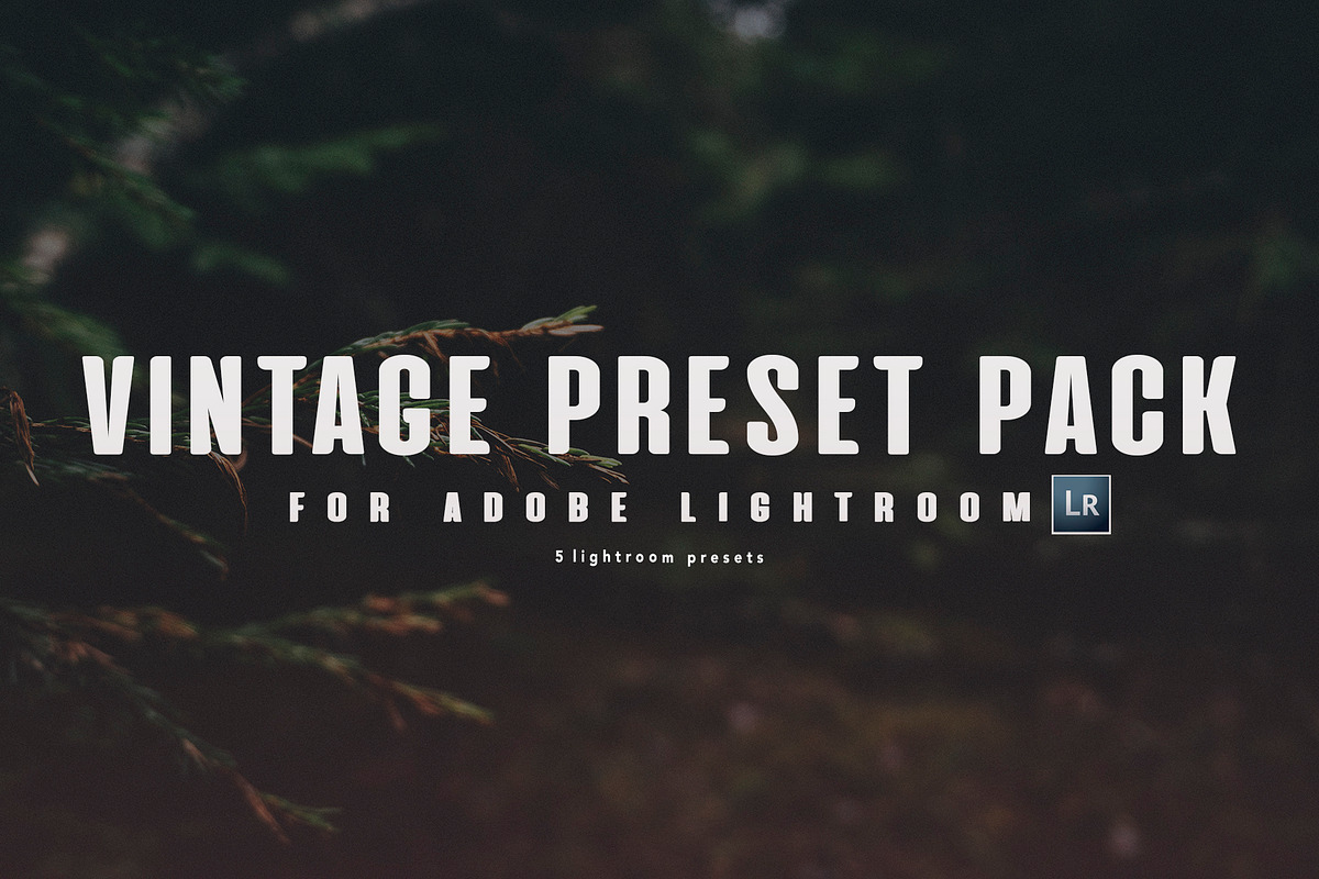 5 VINTAGE LIGHTROOM PRESETS