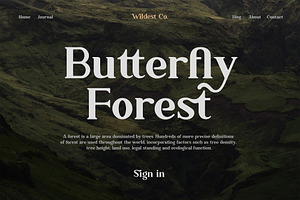 Ambigue Wild Modern X Vintage Serif