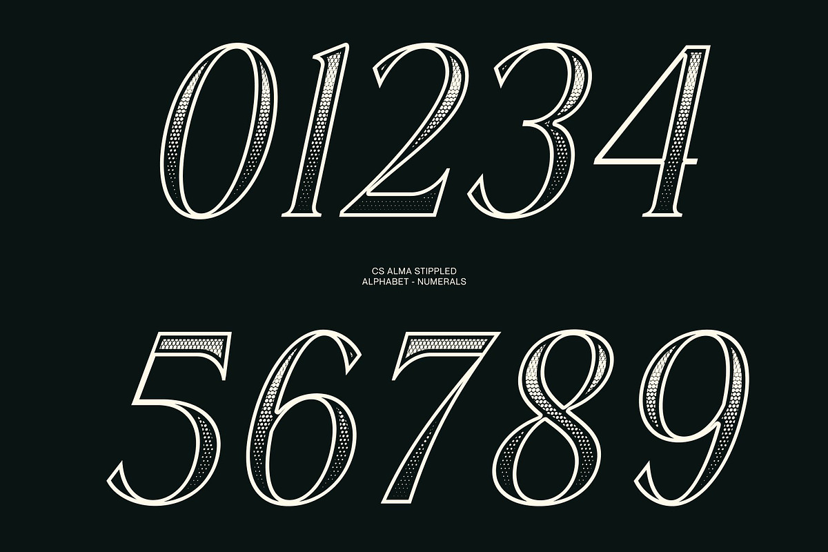 CS Alma Stippled, a Serif Font by Craft Supply Co. (Photo 4 of 8)