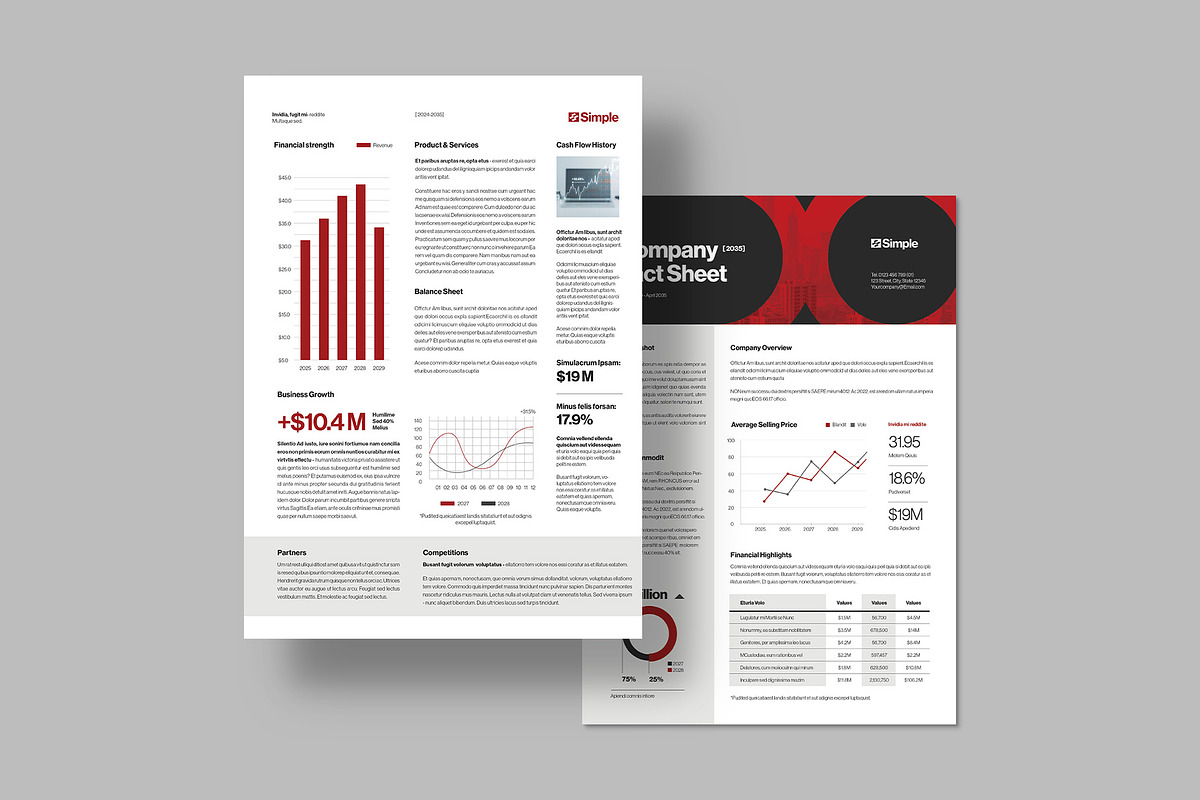 Company Fact Sheet Template, a Flyer Template by BrandPacks (Photo 4 of 5)