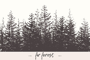 Fir Forest Background