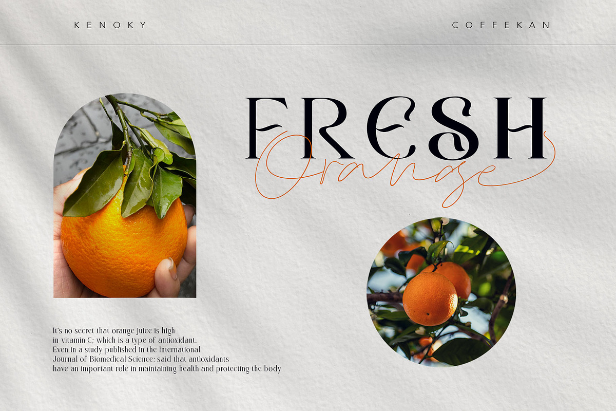 Kenoky Coffekan, a Serif Font by alit design (Photo 21 of 27)