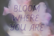 Lily Dusk whimsical display typeface, a Handwritten Font by alenaganzhela (Thumbnail 6 of 11)