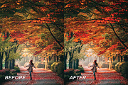 15 Autumnal Lightroom Presets, a Preset Add-On by TheWayfarerShoppe (Thumbnail 3 of 8)