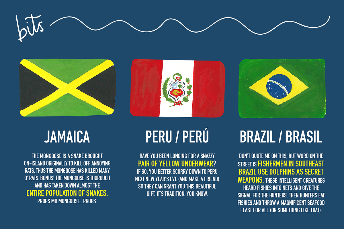 Hand Painted Flags of the Americas, an Illustration by Katrina Junio (Photo 3 of 8)