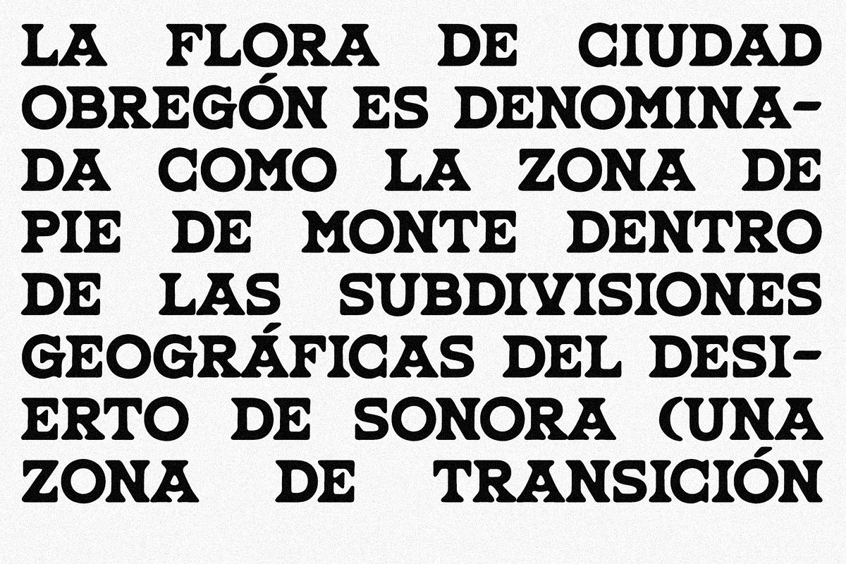 MC Juárez, a Slab Serif Font by McLetters (Photo 7 of 9)