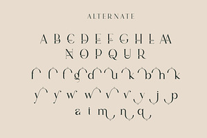 Vindea Ligature Serif Typeface