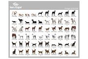 120 Pet/Farm Animals Photo Overlays, an Animal Photo by KenScape (Thumbnail 4 of 4)