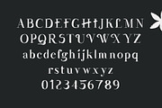 Wesloy dry brush serif font, a Serif Font by kaer_shop (Thumbnail 7 of 9)