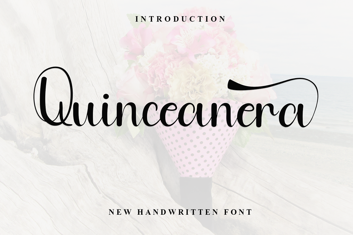 Quinceanere, a Handwritten Font by FreshTypeINK (Photo 1 of 8)