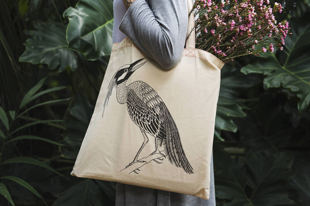 Hand Drawn Illustrations of Birds, an Animal Illustration by Franzi draws (Photo 3 of 5)