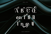 Atien, a Serif Font by Auliacreative (Thumbnail 4 of 9)