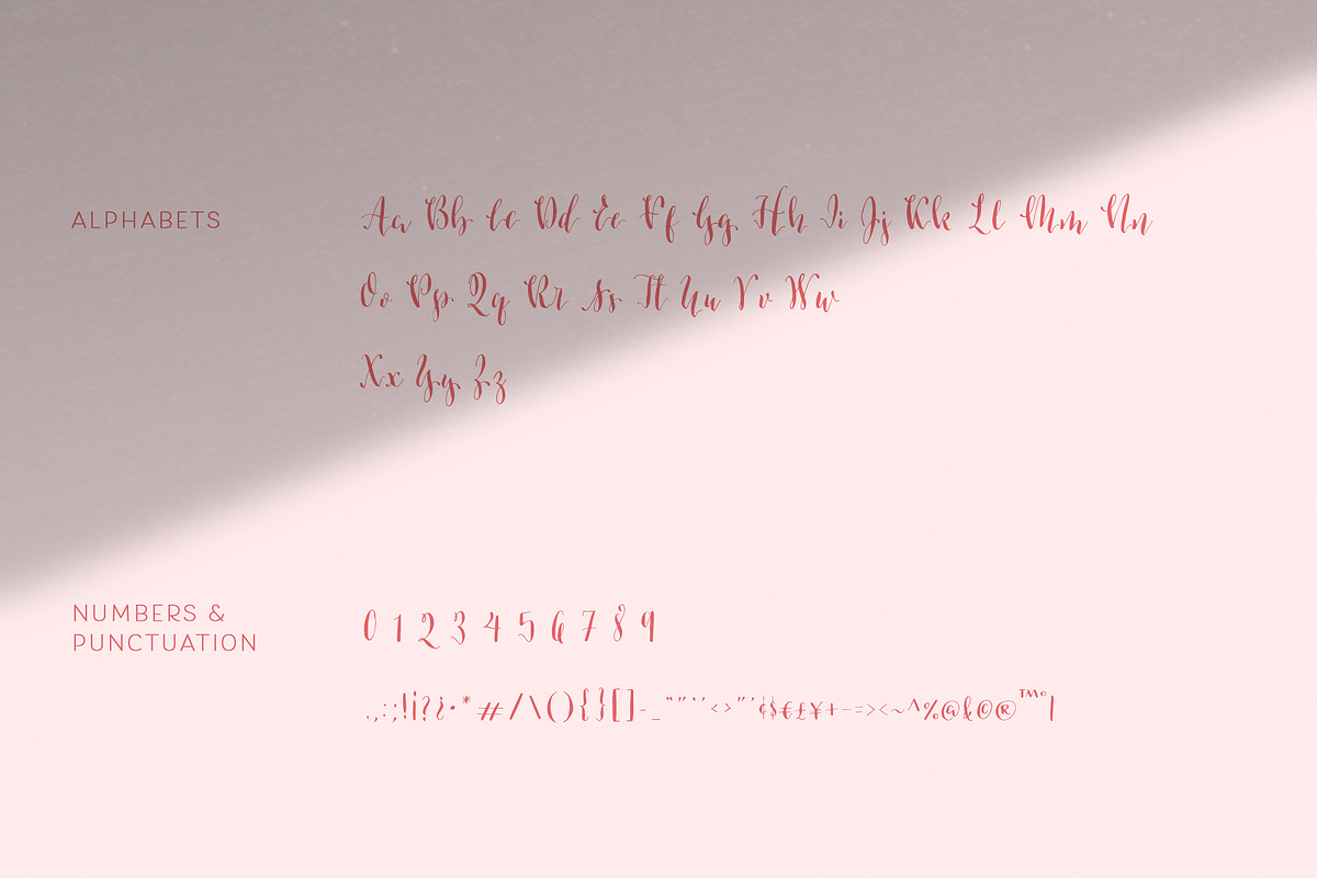 Brokkie | Modern Calligraphy Font, a Script Font by Sumbo Pinheiro (Photo 10 of 12)