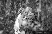 Black and White Lightroom Presets, a Plug-in Add-On by h.utomo (Thumbnail 4 of 10)
