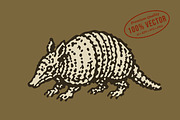 Retro illustration of an armadillo, an Animal Illustration by lettett (Thumbnail 1 of 3)
