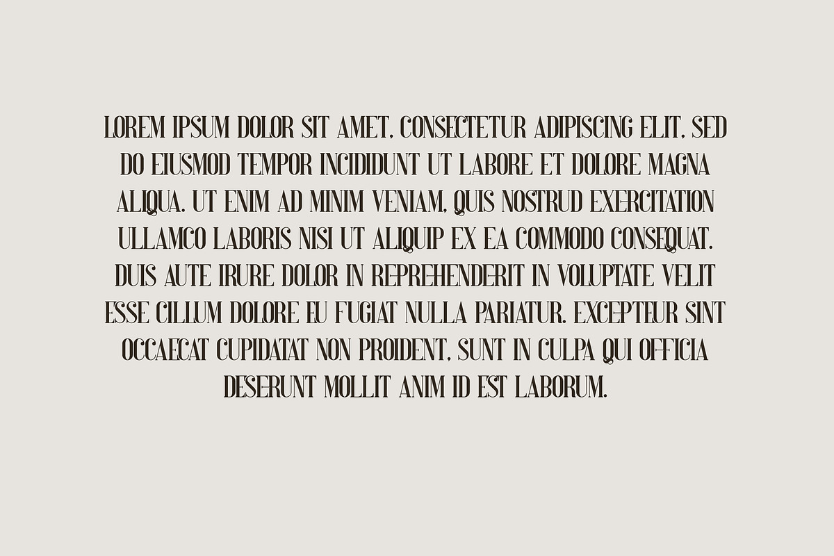 Perfectly Splendid Typeface - 5 font, a Serif Font by VP Fonts (Photo 7 of 9)