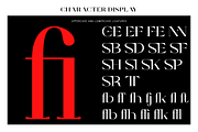 Elthia - Variable Serif, a Serif Font by Valentino Vergan (Thumbnail 13 of 14)