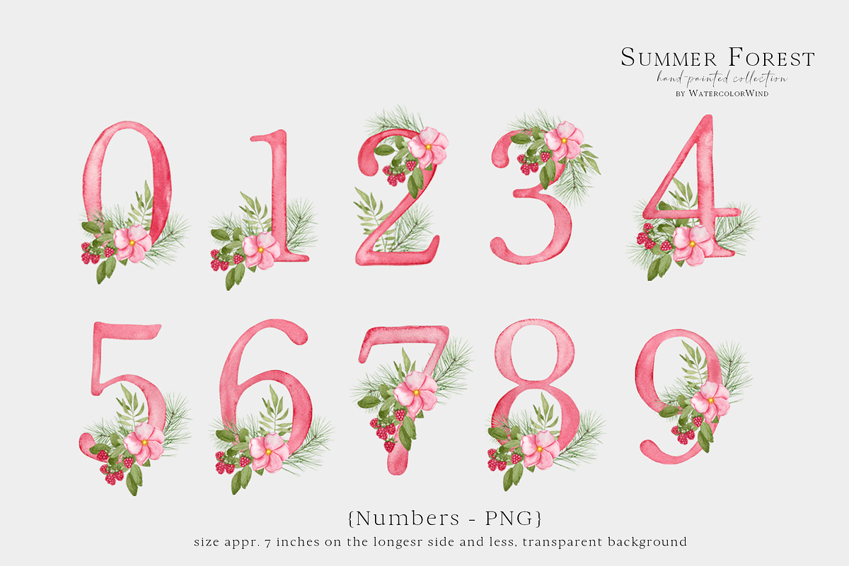 Forest Floral Clipart with Raspberry, an Illustration by WatercolorWind (Photo 12 of 14)