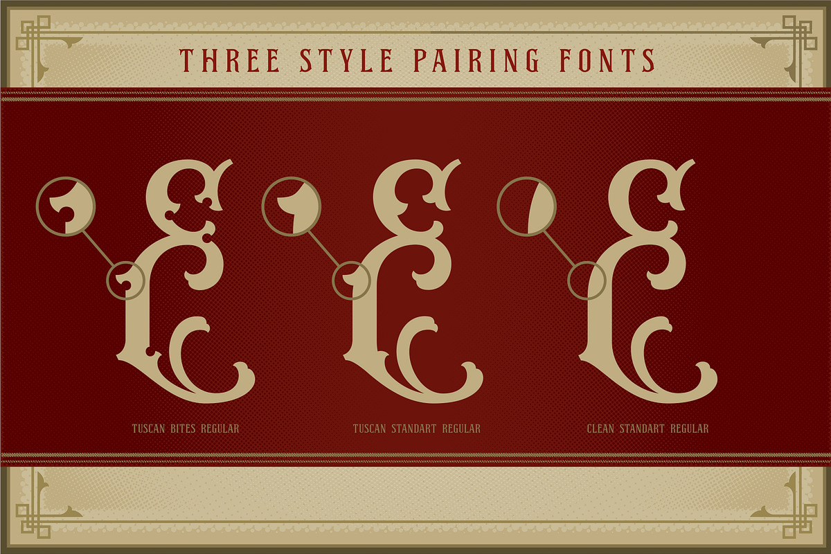 NS Emhericans Vintage Pairing Fonts preview 6