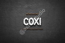Coxi: Luxury Modern Display Serif Ty