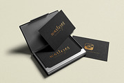 Wasteros Typeface, a Script Font by banks (Thumbnail 5 of 9)