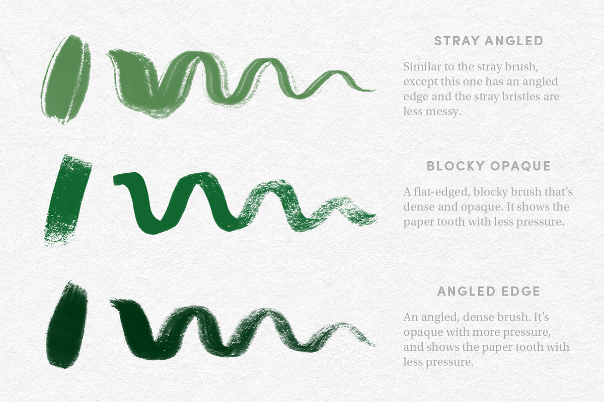 Gouache Set – Procreate Brushes, a Brush Add-On by Sadie Lew (Photo 5 of 17)