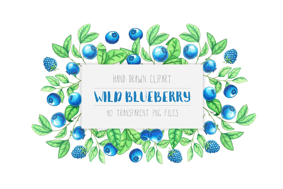 Wild Blueberry Font Duo preview 2
