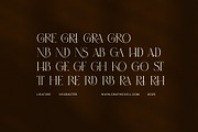 Gandis Elegant Serif Font, a Serif Font by Elegant Font (Thumbnail 8 of 8)
