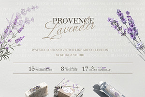 Provence Lavender. Flower Set.