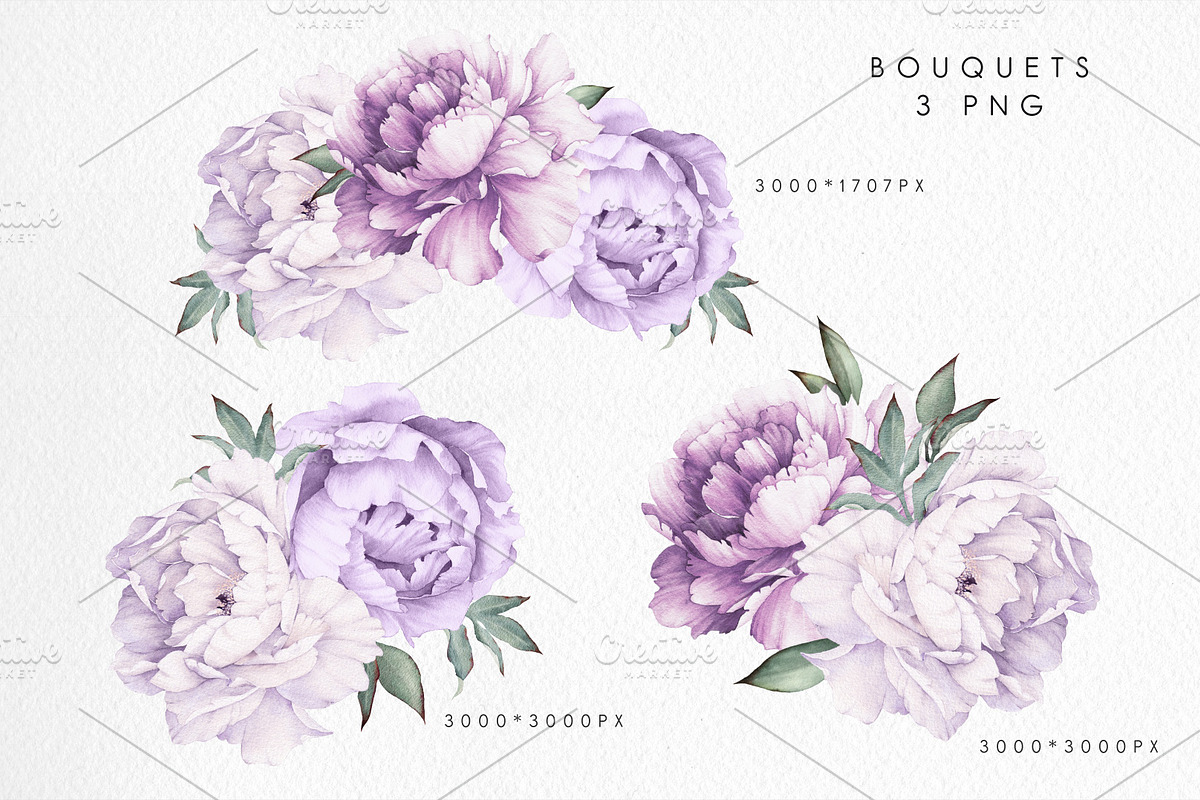Watercolor flowers, Peonies, a Decorative Illustration by ollalya (Photo 5 of 9)