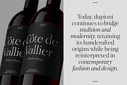 Dupioni - 6 font family, a Serif Font by Silktype (Thumbnail 13 of 21)