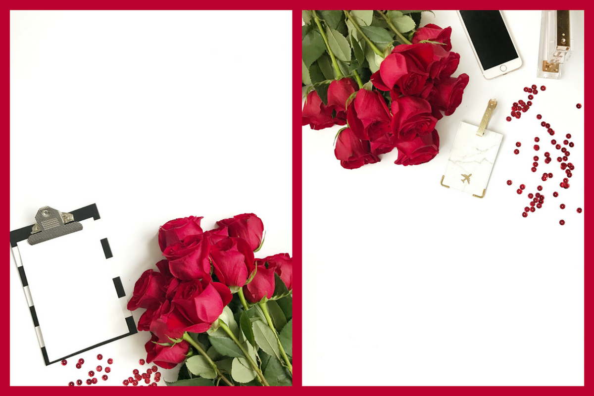 Red Roses Collection, a Business Photo by yamilette.platero (Photo 4 of 6)