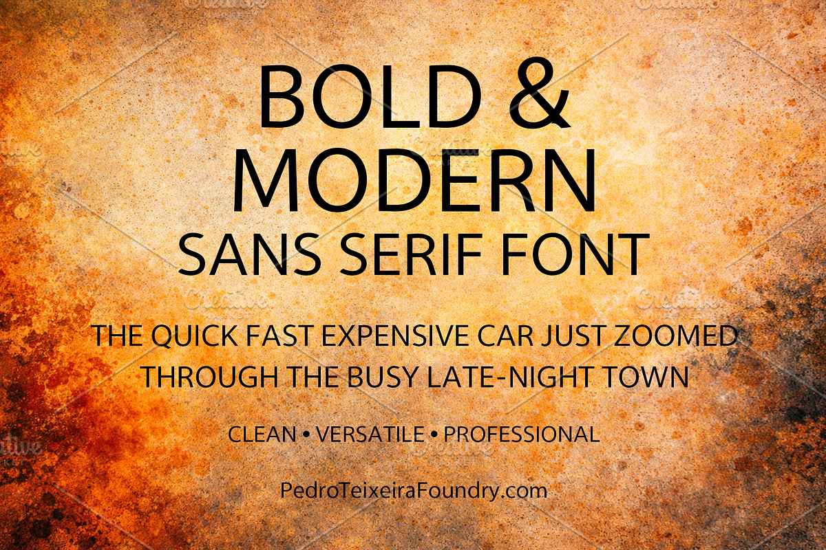 001 SANS SERIF PedroTeixeiraFoundry, a Sans Serif Font by vectalex (Photo 4 of 5)