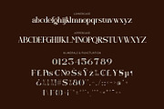 Qelvoria - Modern Serif Font, a Serif Font by Rishsketch (Thumbnail 13 of 15)