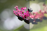Dream World Lightroom Presets preview 2