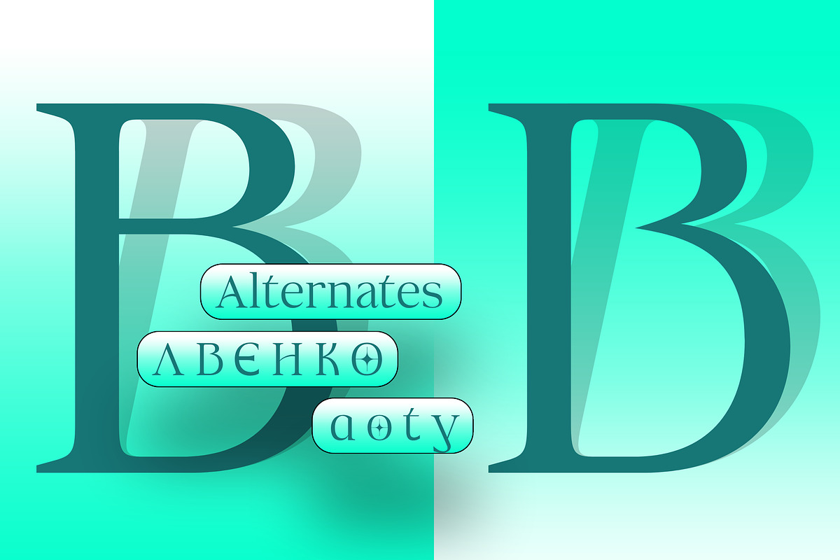 Aganote Typeface | 91 Style Font, a Serif Font by Bosstype Studio (Photo 4 of 12)