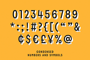 Zippy Gothic - A Huge Layered Family, a Sans Serif Font by Polytype (Thumbnail 13 of 13)