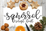 Squirrel Script, a Script Font by maria.fernandez (Thumbnail 1 of 6)